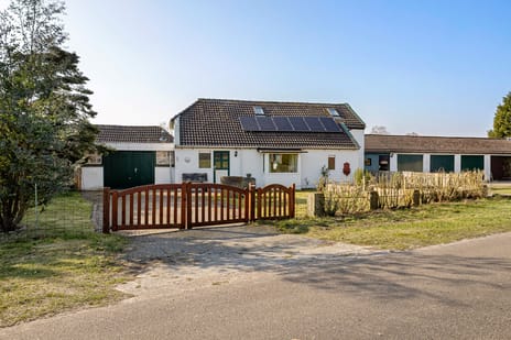 undefined main image