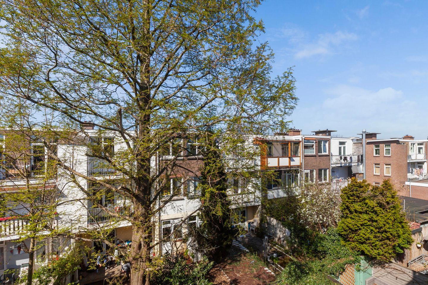 Foto 25 van Bussumsestraat 155