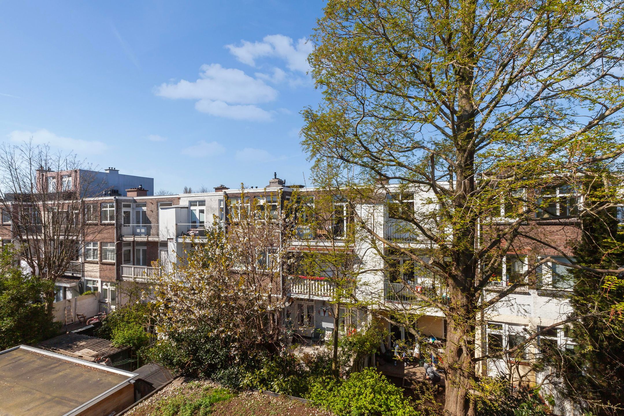 Foto 24 van Bussumsestraat 155