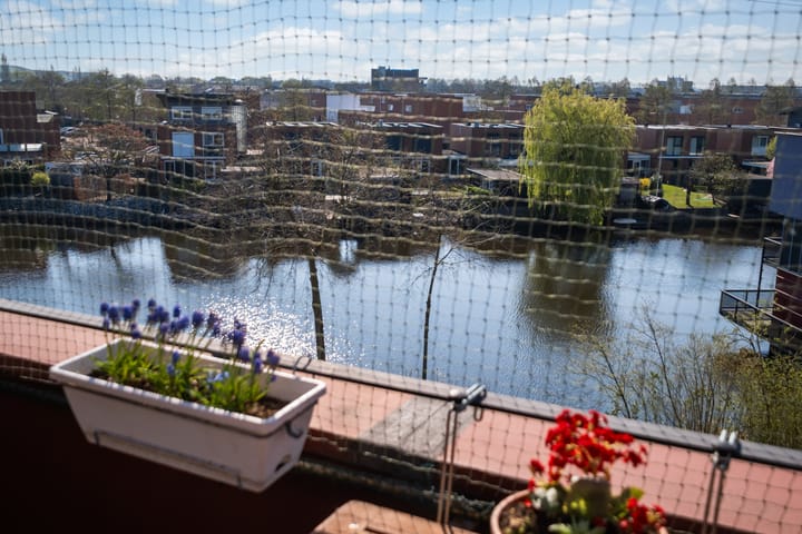 Foto 25 van Baars 28