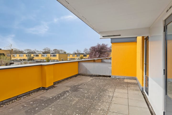 Foto 20 van Kempenaar 28 8