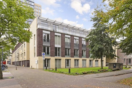 undefined main image