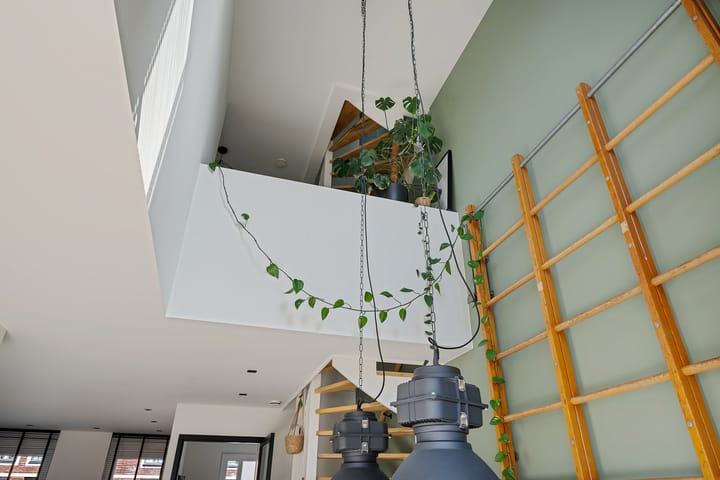 Foto 15 van Singelbuurt 17