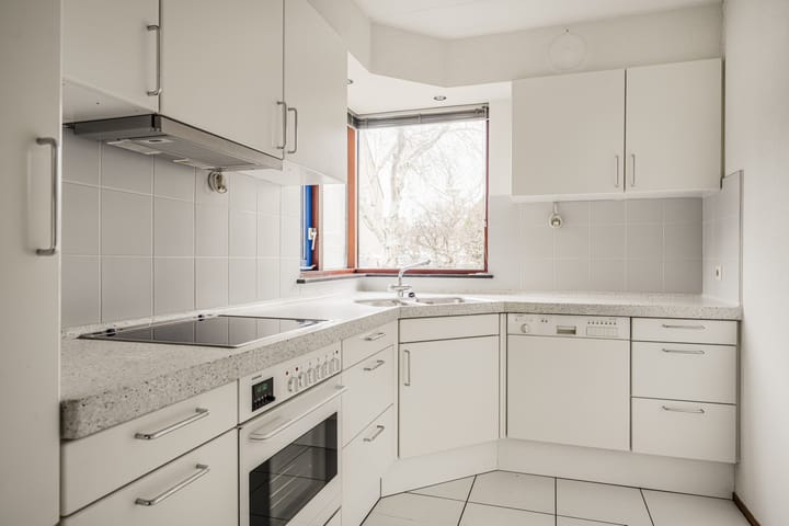 Foto 6 van Grote Boterbloem 91