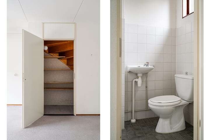 Foto 9 van Grote Boterbloem 91