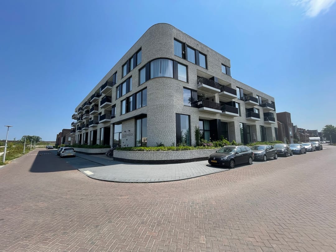 Foto 1 van Wilde rucolavliet 19