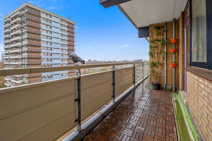 Foto 5 van Groenhof 80