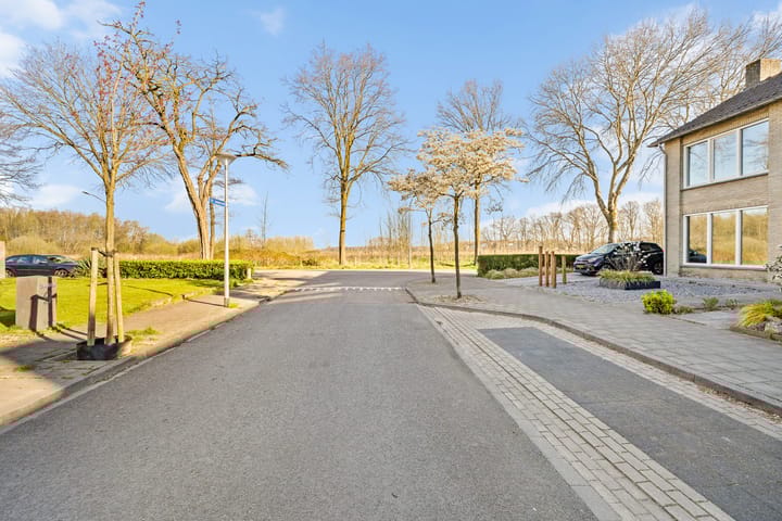 Foto 2 van St. Janskruid 14