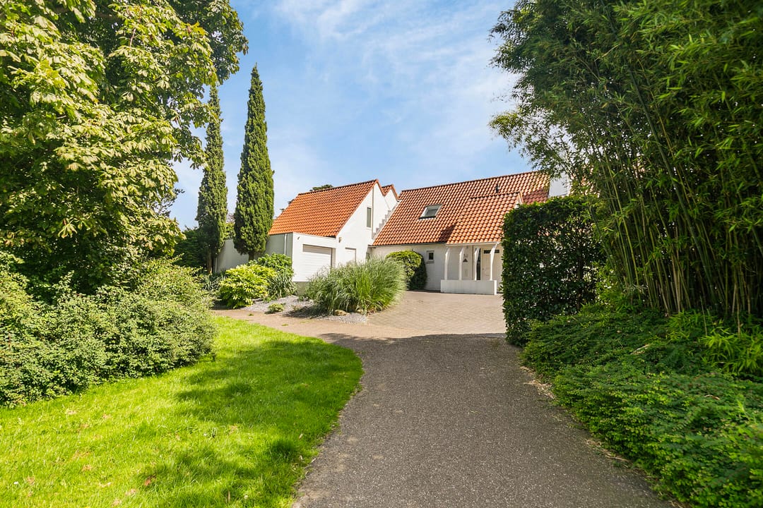 Foto 47 van Oranjestraat 15