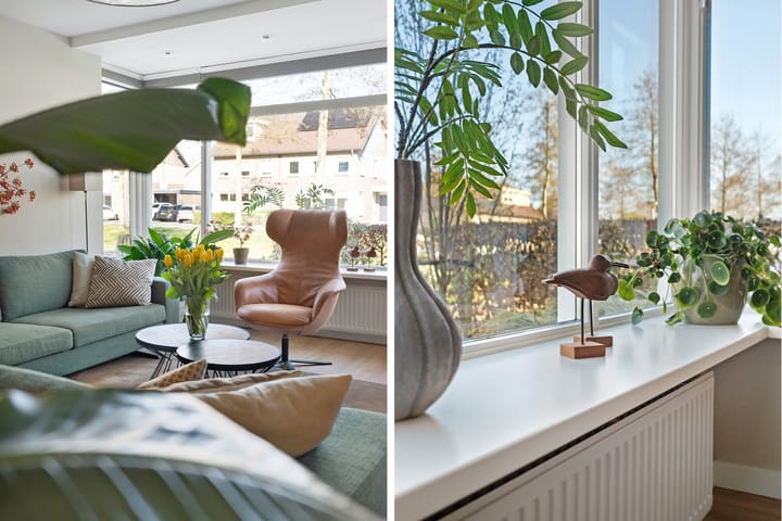 Foto 38 van Zwanenbloem 28