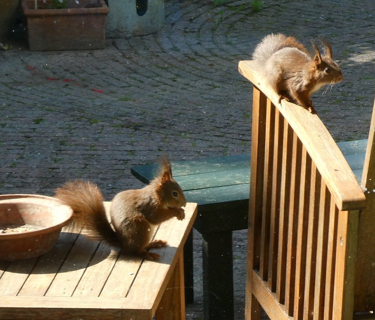 Foto 40 van Voormors 57