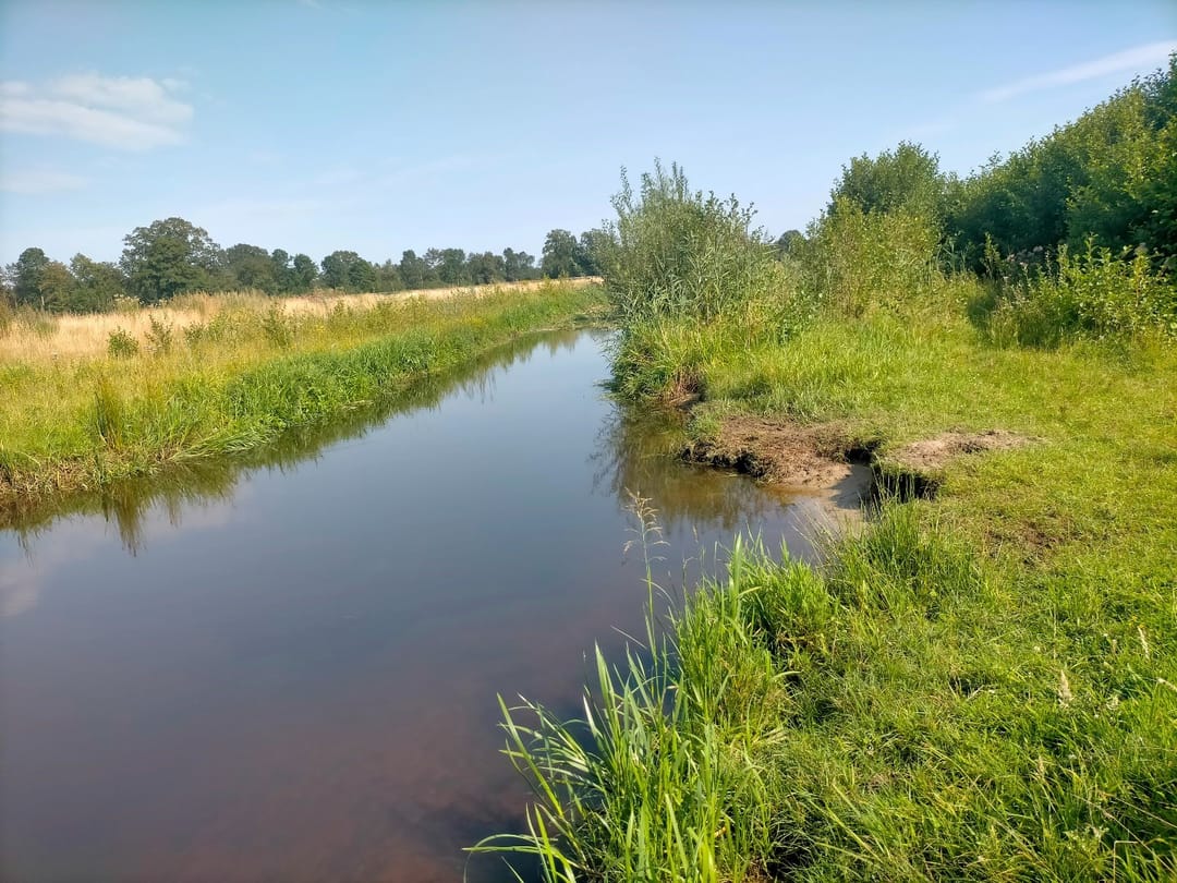 Foto 41 van Voormors 57