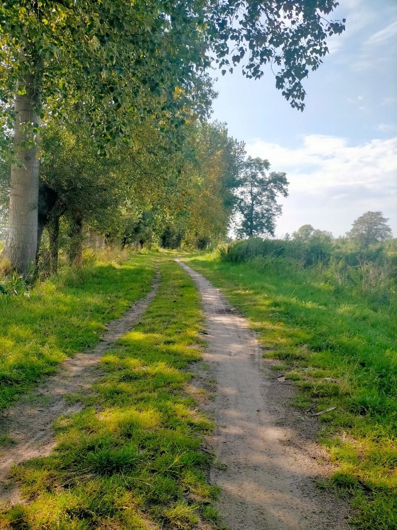 Foto 43 van Voormors 57