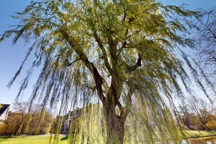 Foto 5 van Kruisgang 65