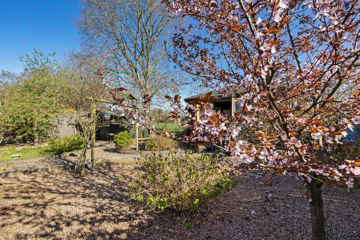 Foto 46 van Koloniesweg 3-B