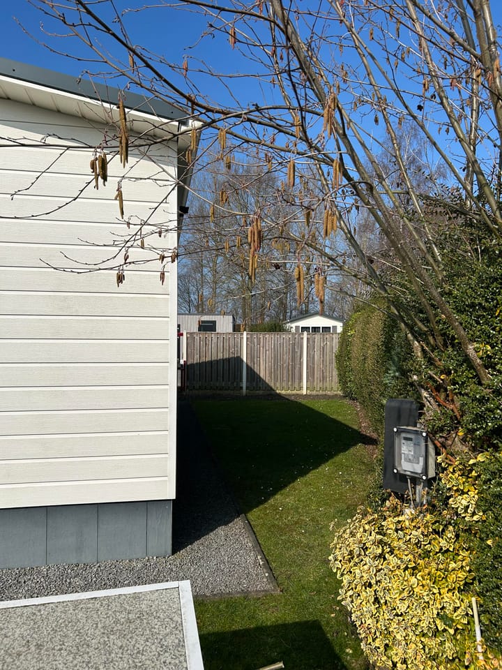 Photo 11 of Stelleplas 141