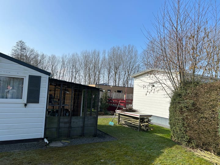 Photo 10 of Stelleplas 141