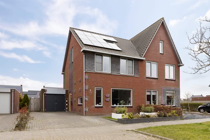 Foto 1 van Kuifeend 17