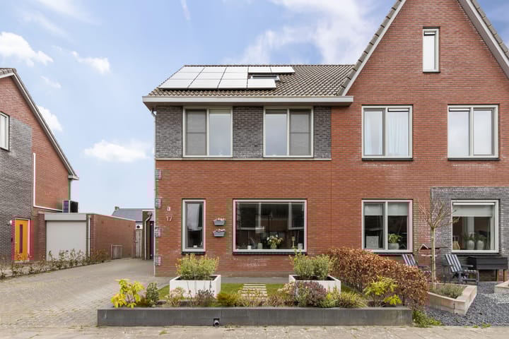 Foto 8 van Kuifeend 17