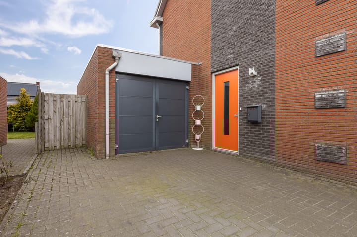 Foto 9 van Kuifeend 17