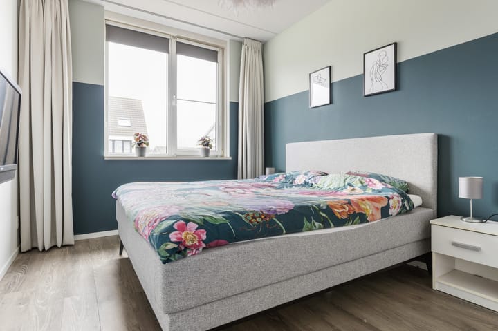 Foto 26 van Kuifeend 17