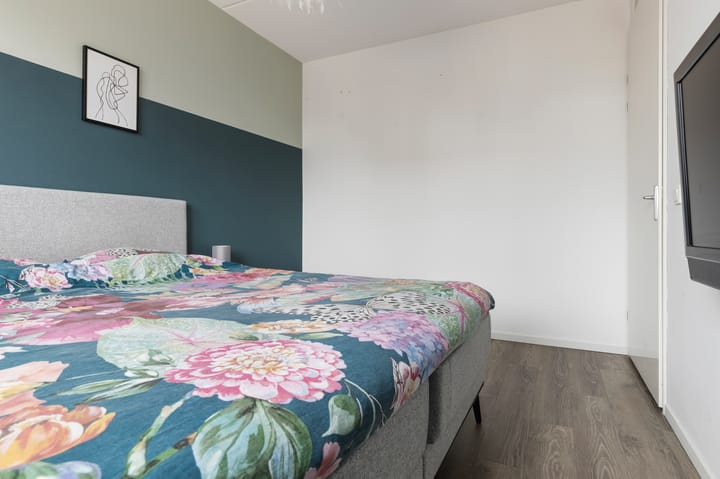 Foto 27 van Kuifeend 17