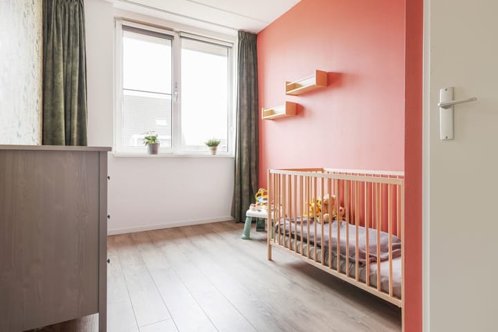 Foto 28 van Kuifeend 17