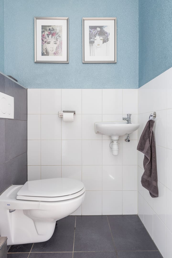 Foto 35 van Kuifeend 17