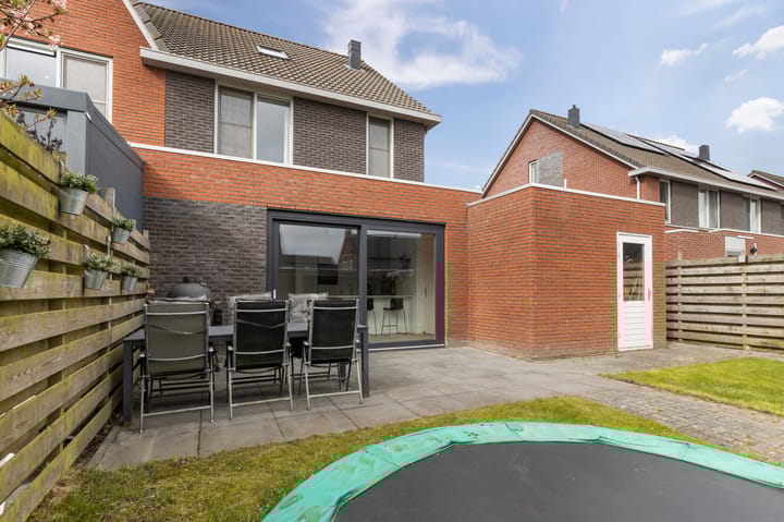 Foto 41 van Kuifeend 17