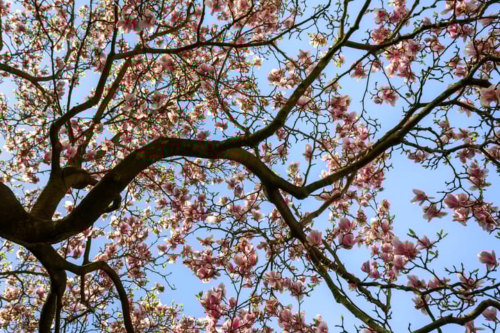 Foto 45 van Warande 217-B