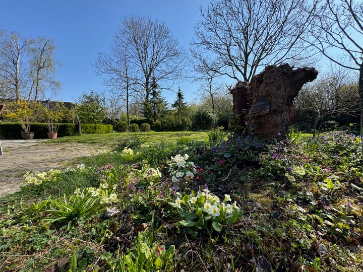 Foto 45 van Middelmeet 35