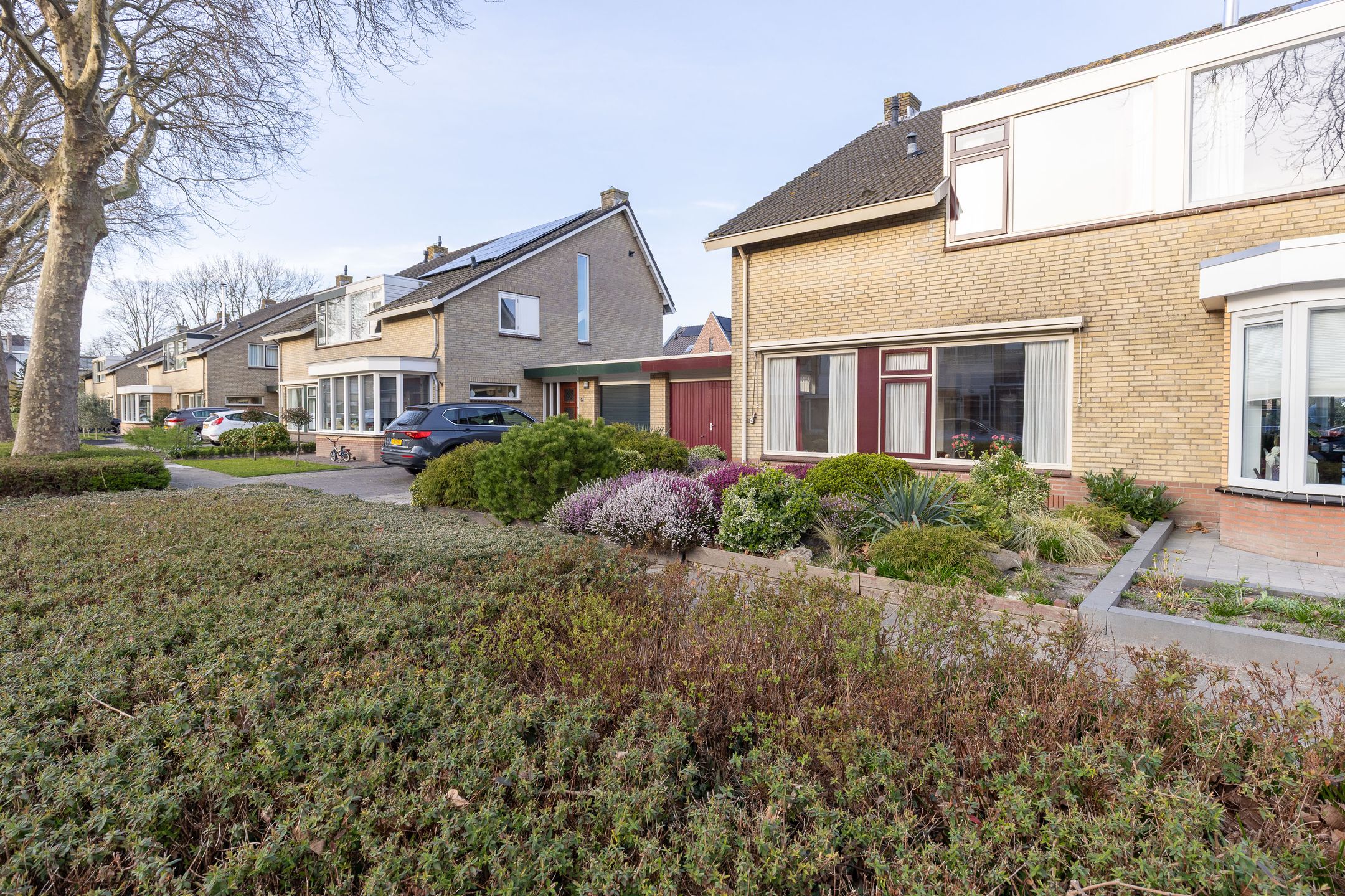 Photo 6 of Plantage 45