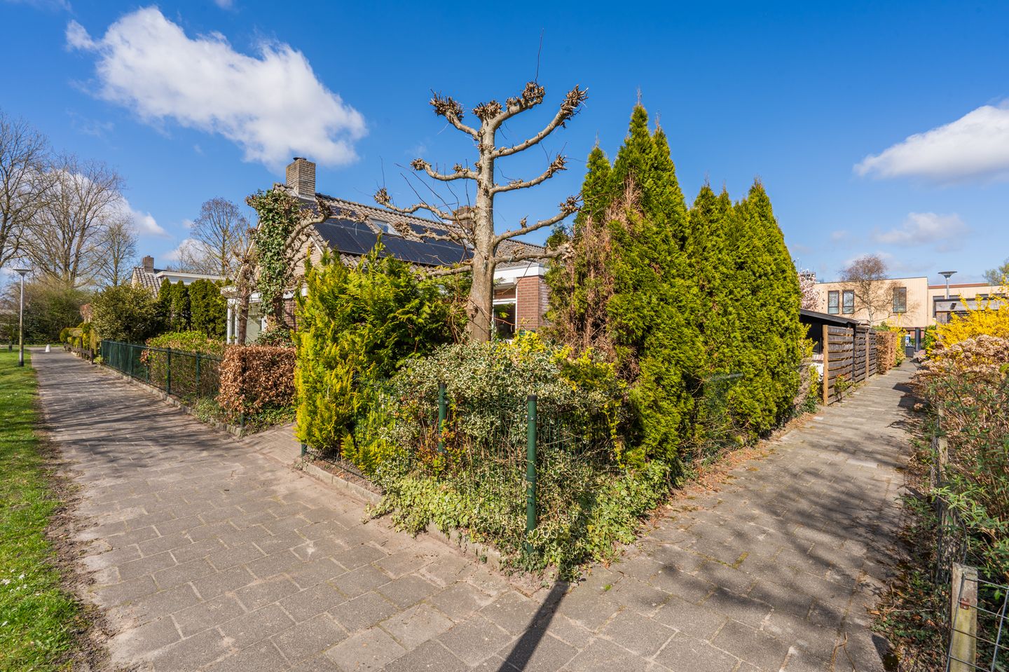 Foto 10 van van Hogendorpstraat 24