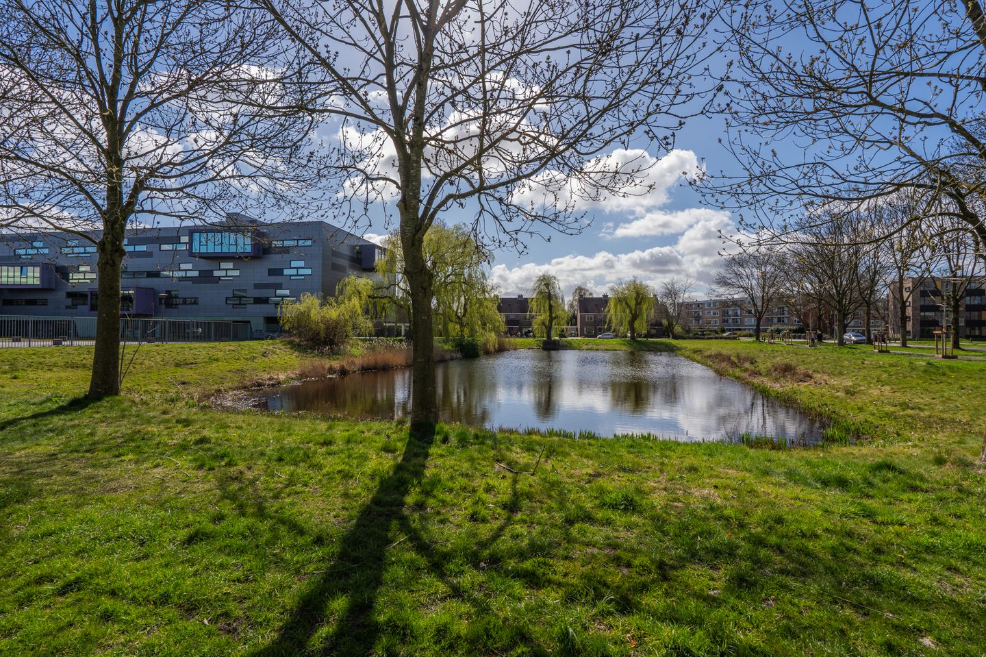 Foto 49 van van Hogendorpstraat 24