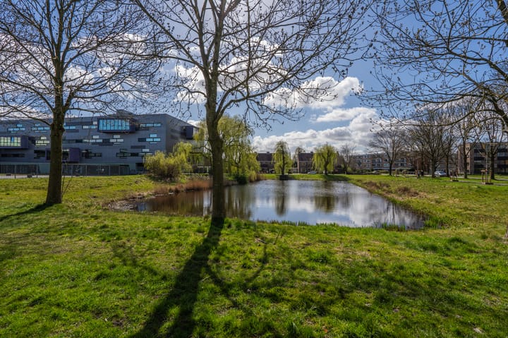 Foto 49 van van Hogendorpstraat 24