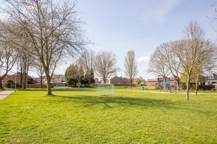 Foto 23 van Sleutelbloem 4