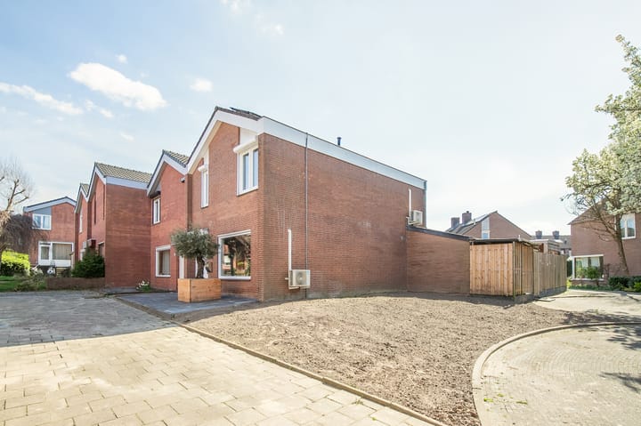 Foto 24 van Sleutelbloem 4