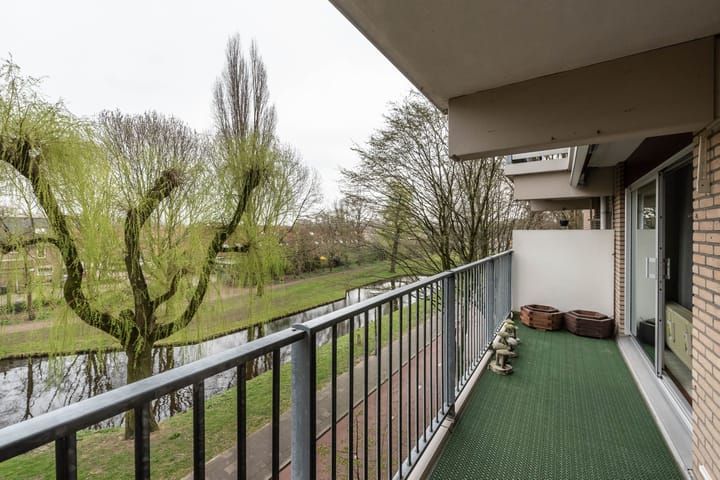 Foto 2 van Grote Beer 25