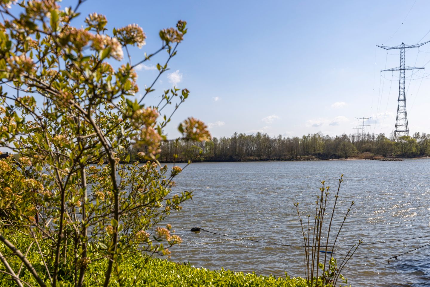 Foto 19 van Rivierdijk 10