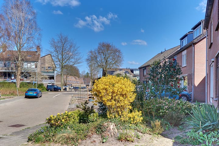 Foto 55 van Zeggemeen 6