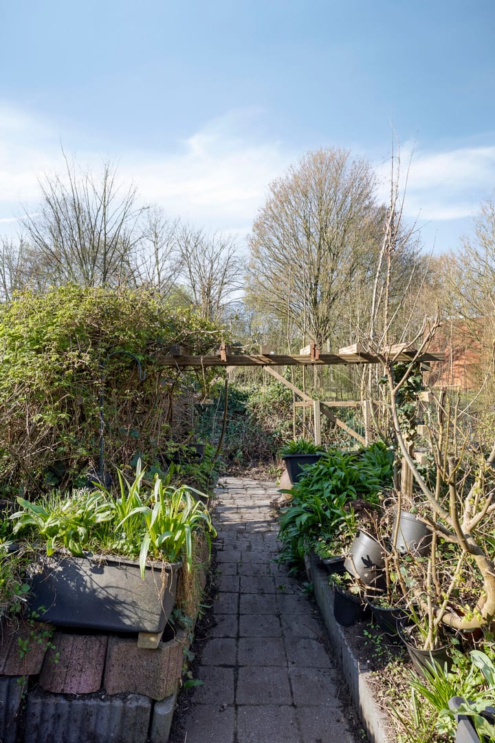 Foto 25 van Kremersheerd 202