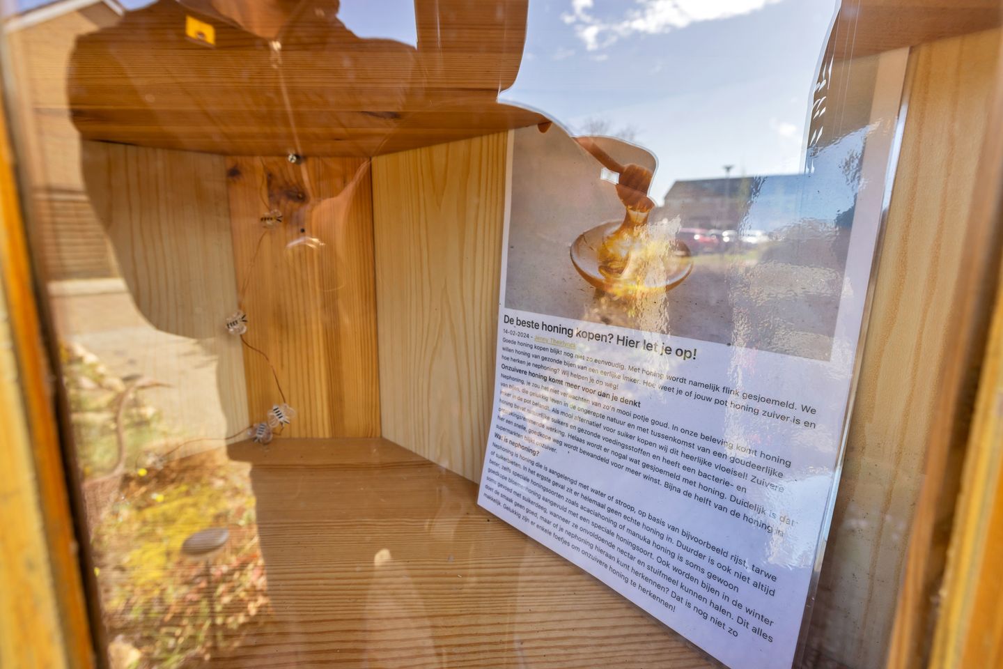 Foto 59 van Hagedoornstraat 12