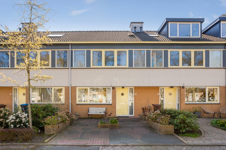 Foto 2 van Noorderlicht 22