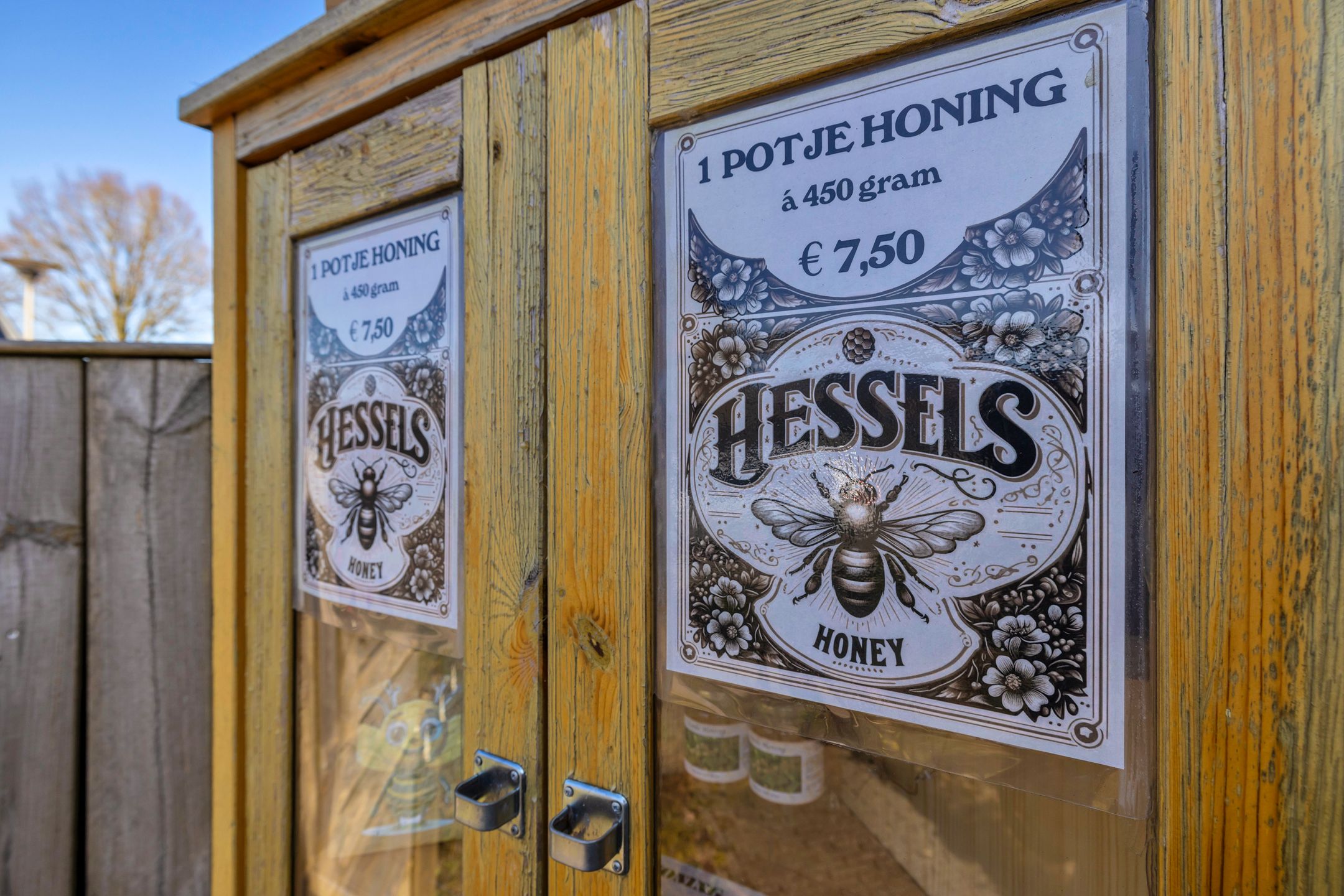 Foto 60 van Hagedoornstraat 12