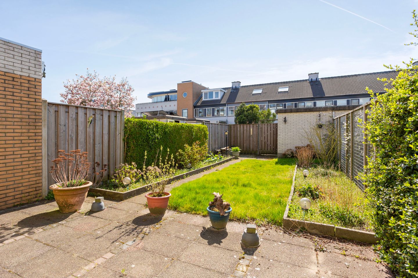 Foto 10 van Noorderlicht 22