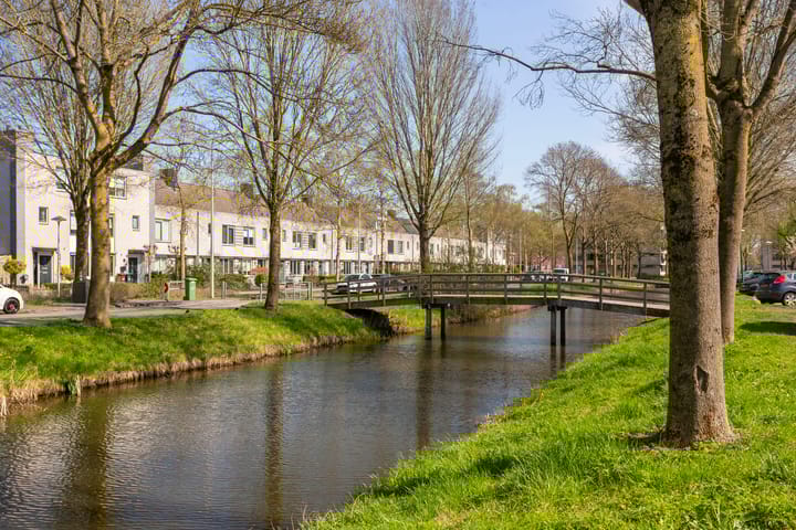 Foto 34 van Noorderlicht 22