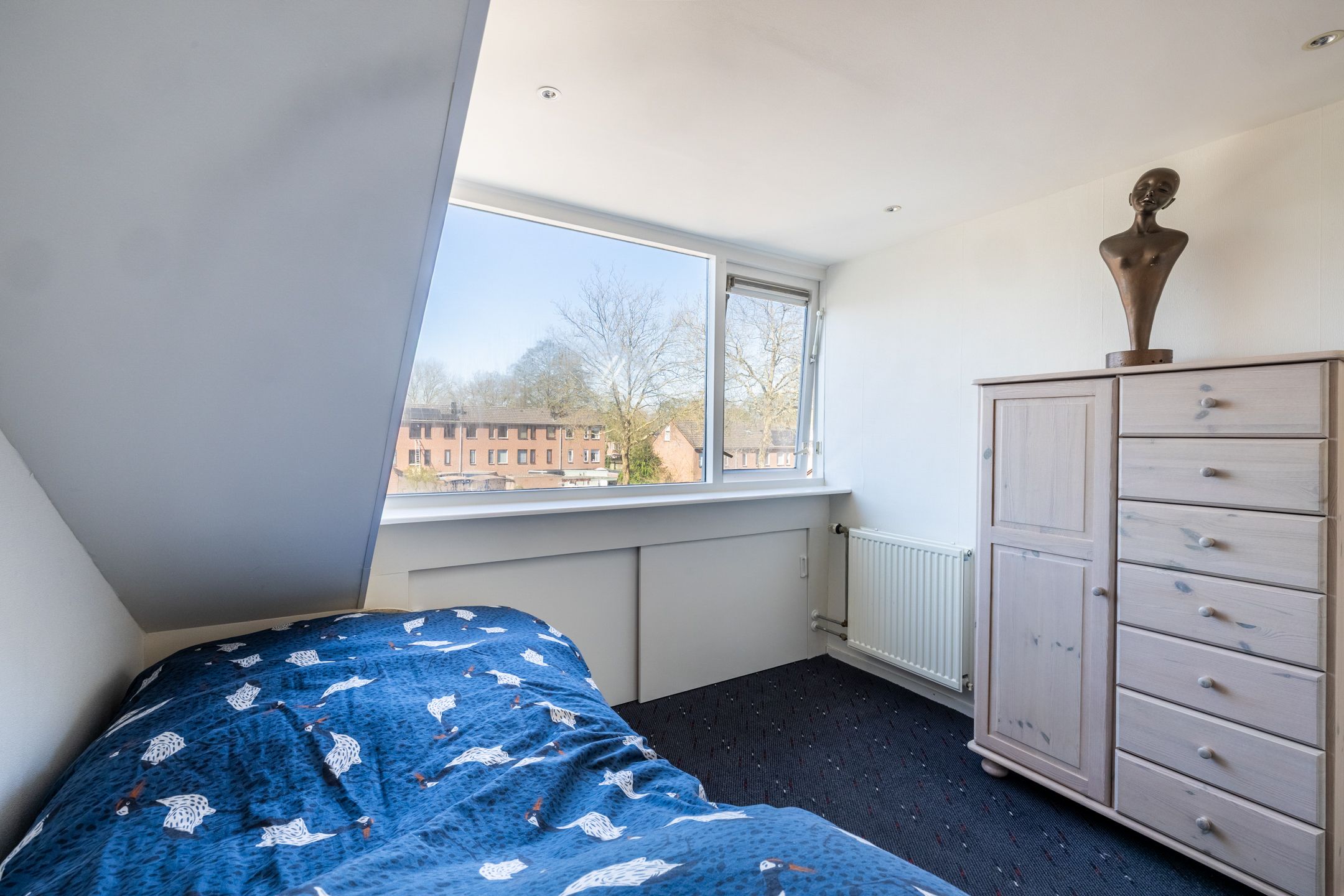 Foto 27 van Bezettingslaan 12