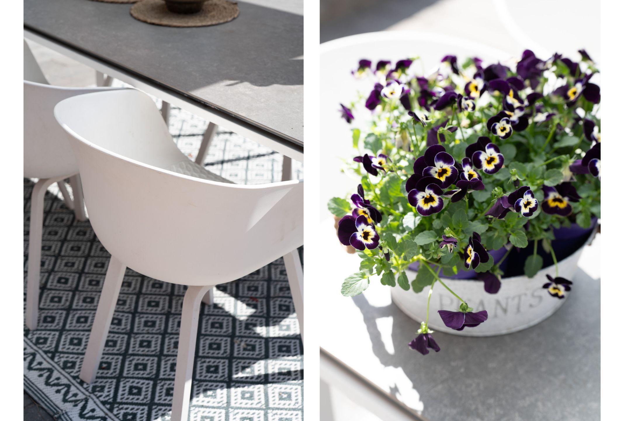 Foto 30 van Sint Pieterspark 156