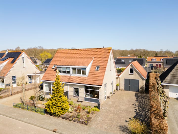 Foto 2 van Festing 9