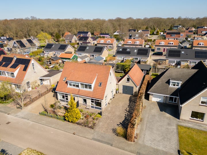 Foto 3 van Festing 9